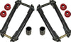 41200 // 12 INCH CHROMOLY SHACKLES